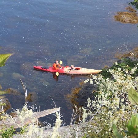 Cygnet Cove Suites Ucluelet Camera foto