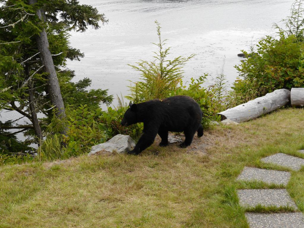 Cygnet Cove Suites Ucluelet Camera foto