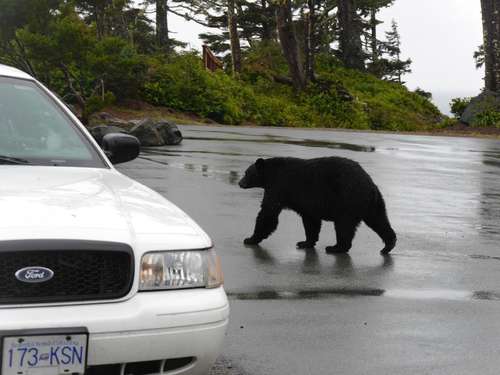 Cygnet Cove Suites Ucluelet Camera foto