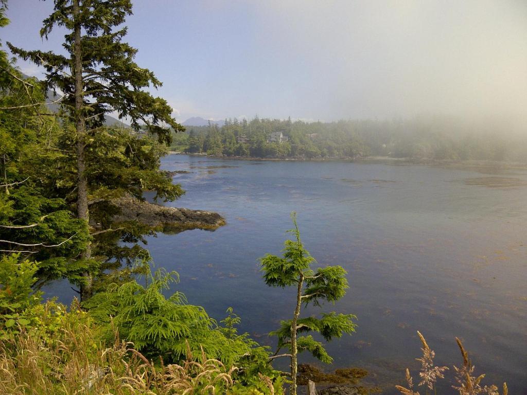 Cygnet Cove Suites Ucluelet Esterno foto