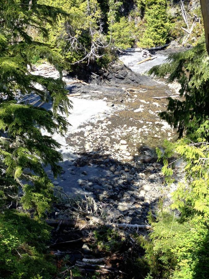 Cygnet Cove Suites Ucluelet Camera foto