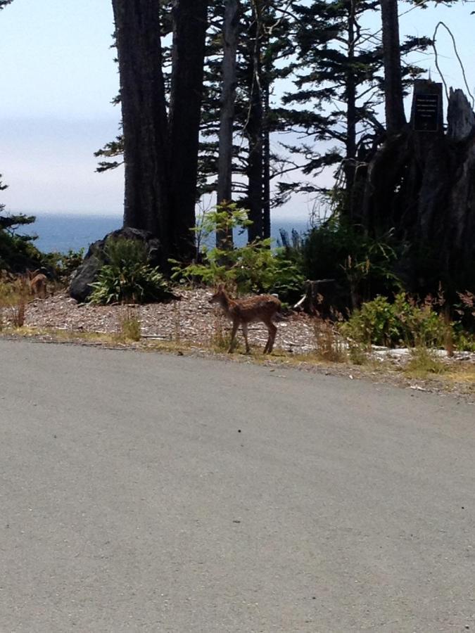 Cygnet Cove Suites Ucluelet Camera foto